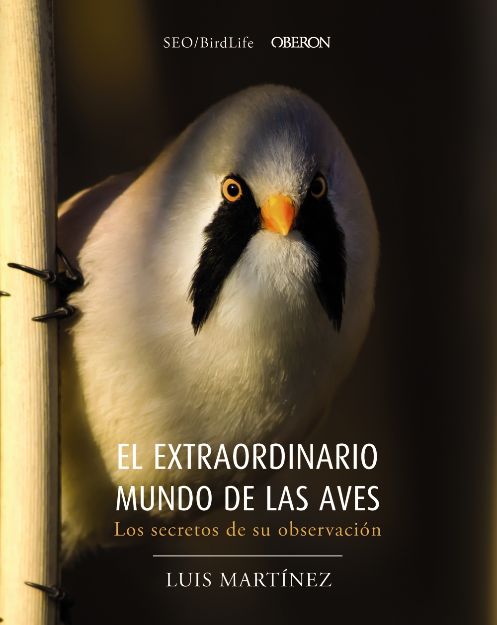 El extraordinario mundo de las aves. Los secretos de su observación -   