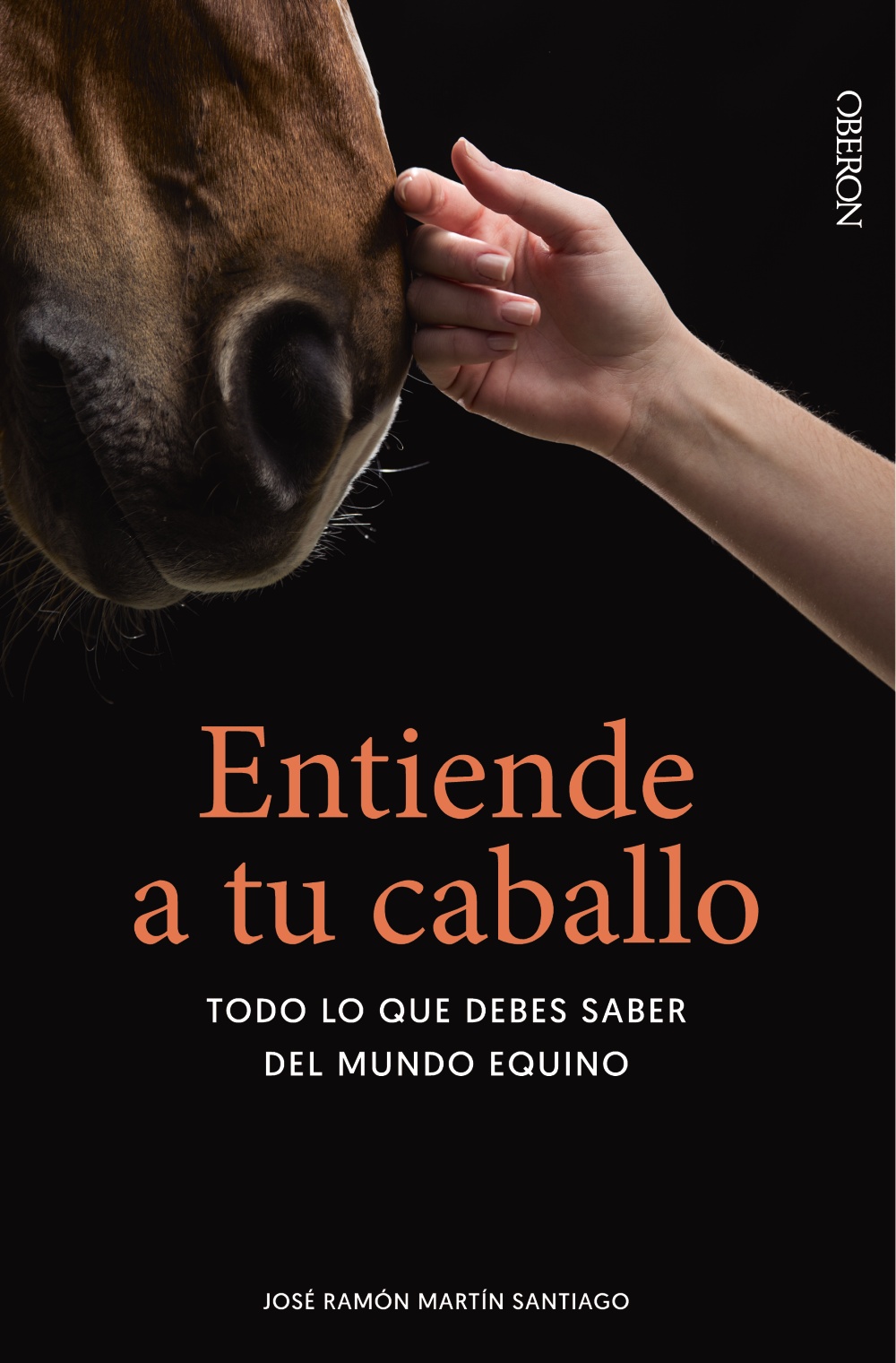 Entiende a tu caballo -   