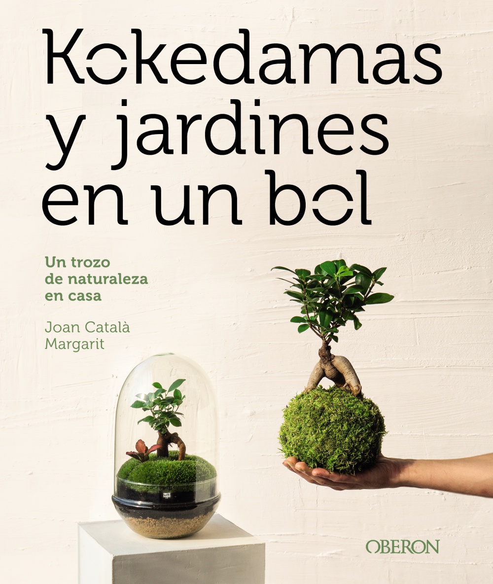 Kokedamas y jardines en un bol -   