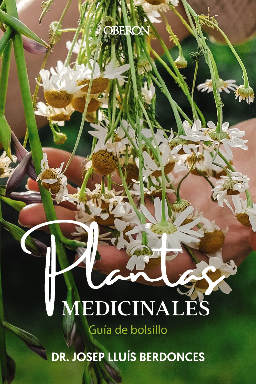 Plantas medicinales. GuÃ­a de bolsillo