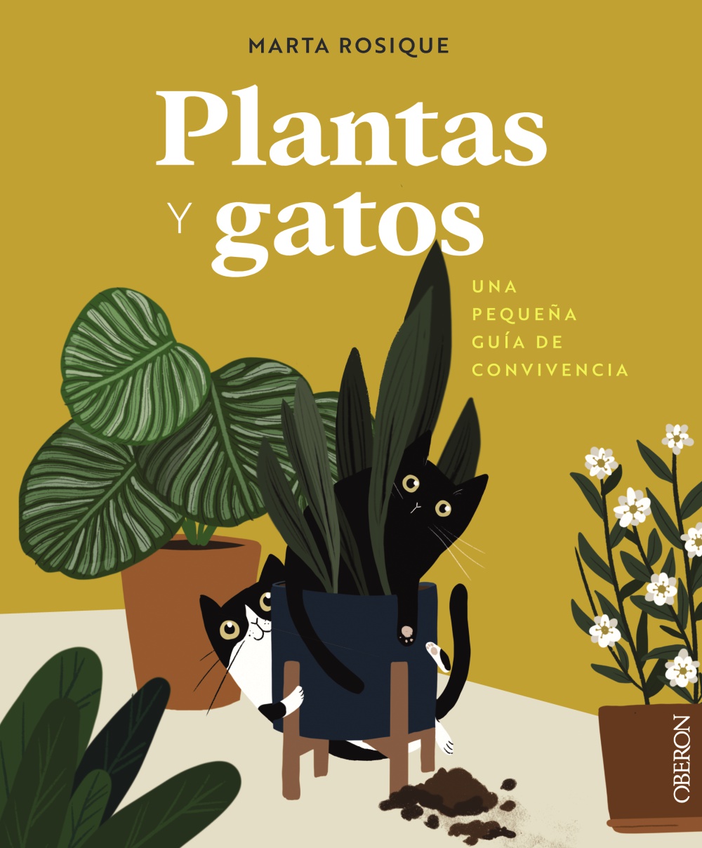 Plantas y gatos