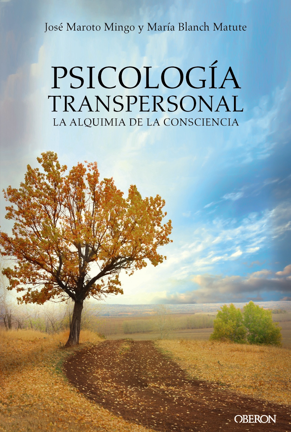 PsicologÃ­a transpersonal. La alquimia de la consciencia