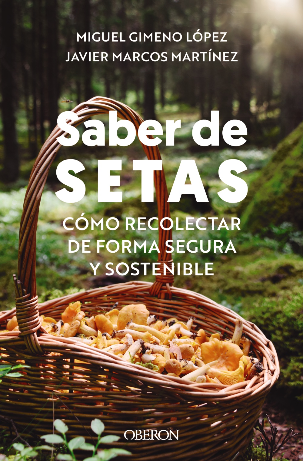 Saber de setas -   