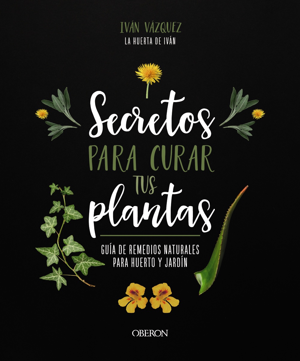 Secretos para curar tus plantas -   